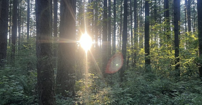 The importance of breath