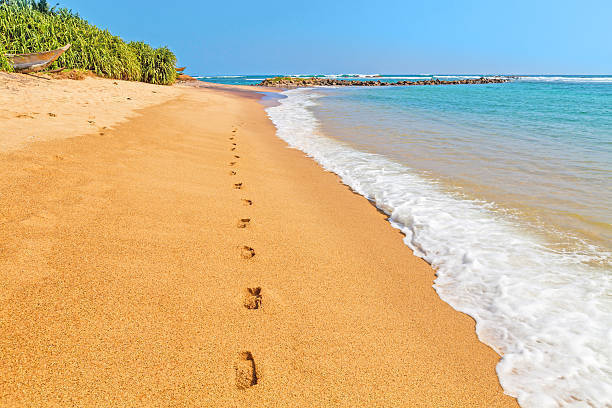 Soulutions Counselling logo