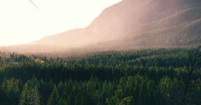 How to Be Present and Live in the Here and Now  