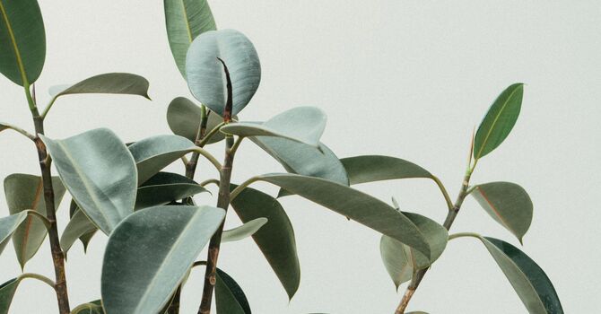 What does ICBC really cover?