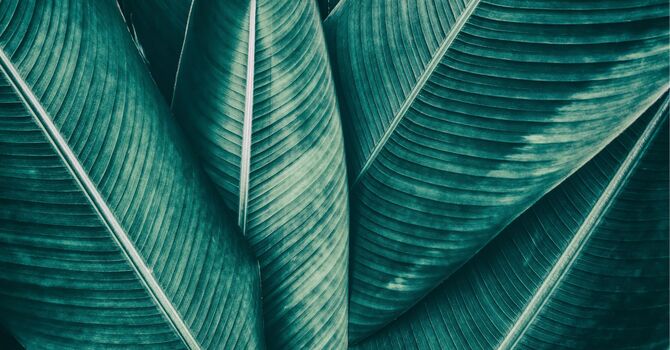 Anxiety Counselling in White Rock: How Therapy Can Help You Regain Calm and Control